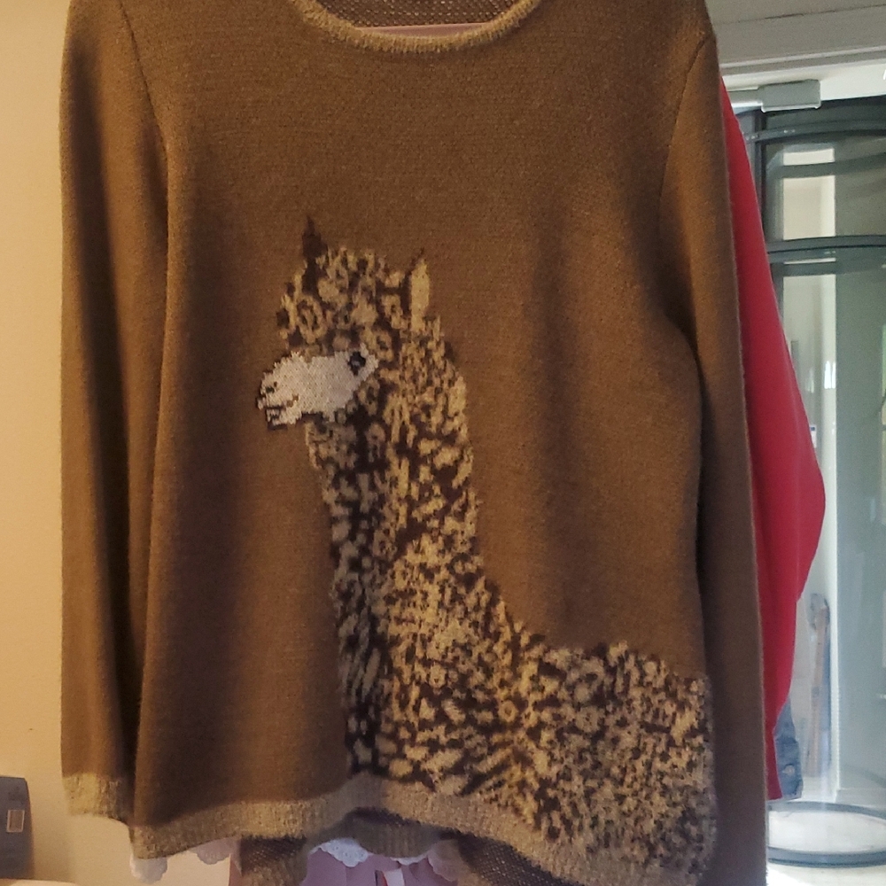 DG2 by Diane Gilman Brown Alpaca Sweater